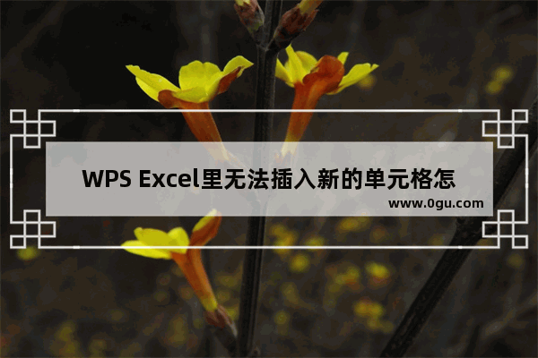 WPS Excel里无法插入新的单元格怎么办