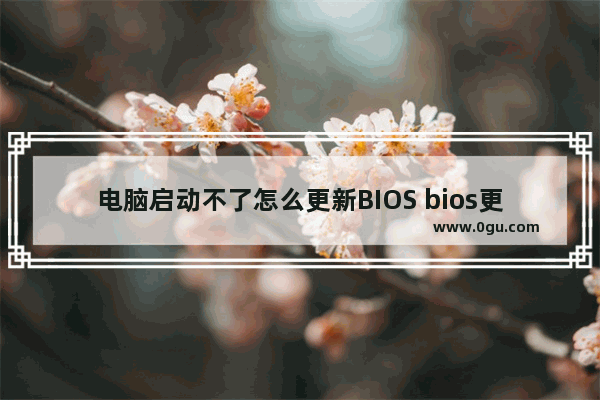 电脑启动不了怎么更新BIOS bios更新重启不了