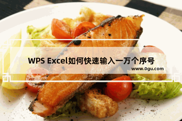 WPS Excel如何快速输入一万个序号