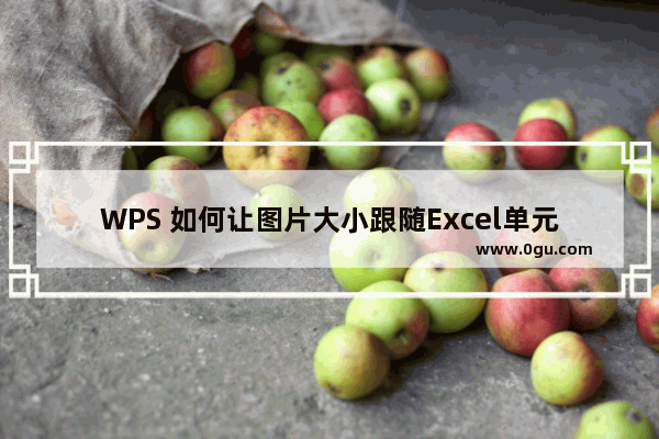 WPS 如何让图片大小跟随Excel单元格变化而变化