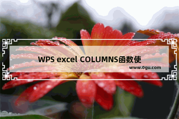 WPS excel COLUMNS函数使用秘诀及实例教程