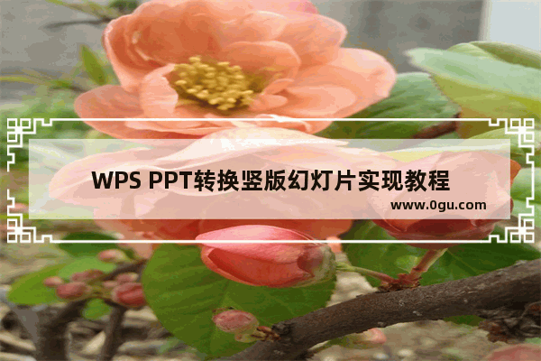 WPS PPT转换竖版幻灯片实现教程