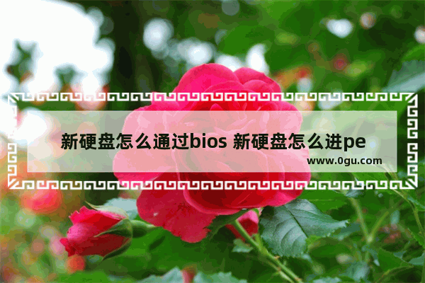 新硬盘怎么通过bios 新硬盘怎么进pe