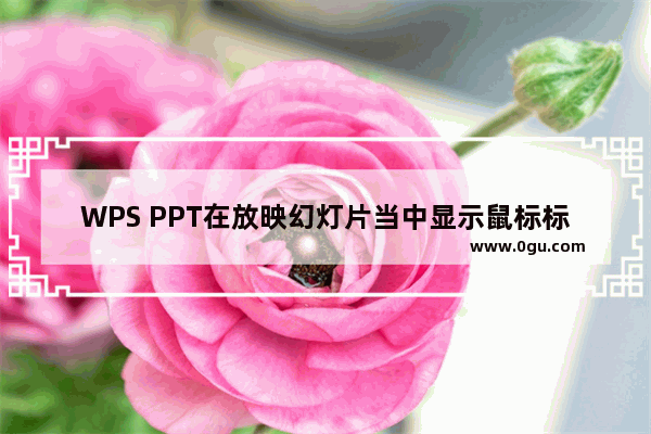 WPS PPT在放映幻灯片当中显示鼠标标志