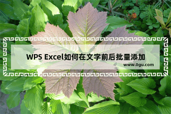 WPS Excel如何在文字前后批量添加内容