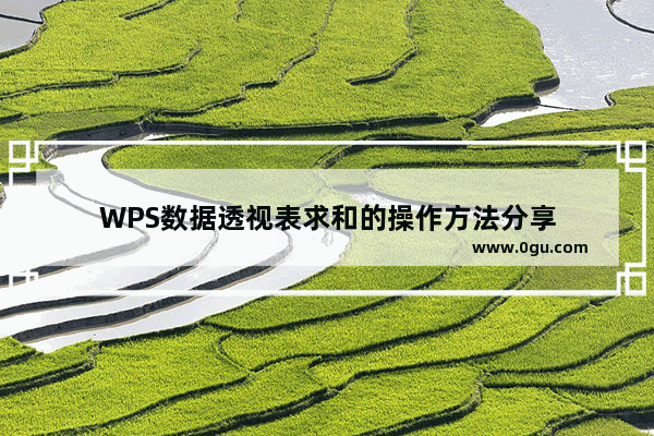 WPS数据透视表求和的操作方法分享