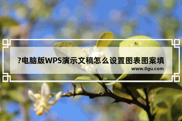 ?电脑版WPS演示文稿怎么设置图表图案填充