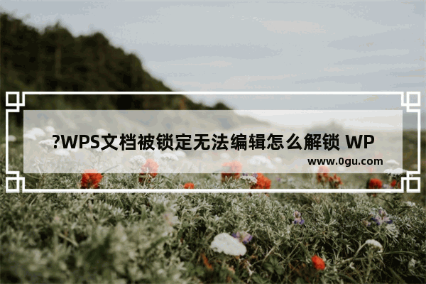 ?WPS文档被锁定无法编辑怎么解锁 WPS Word解决无法编辑的方法教程