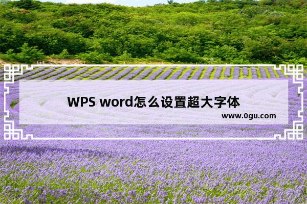 WPS word怎么设置超大字体