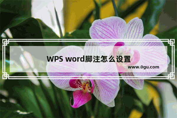 WPS word脚注怎么设置