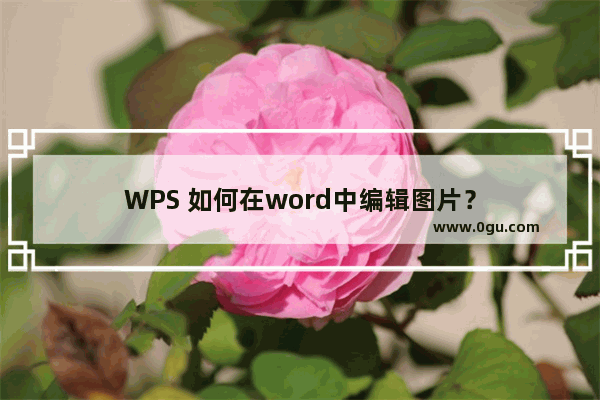 WPS 如何在word中编辑图片？