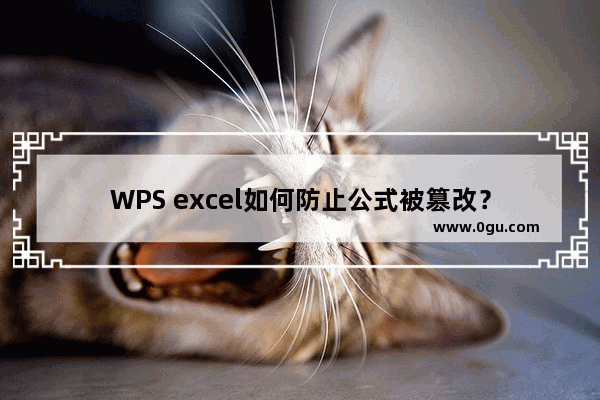 WPS excel如何防止公式被篡改？