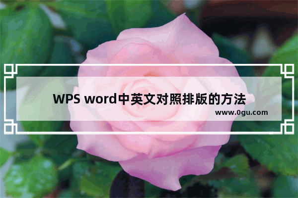 WPS word中英文对照排版的方法