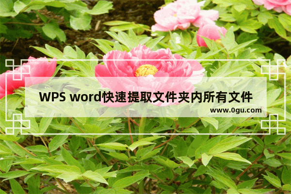 WPS word快速提取文件夹内所有文件的名称