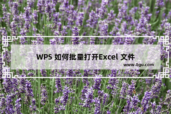 WPS 如何批量打开Excel 文件