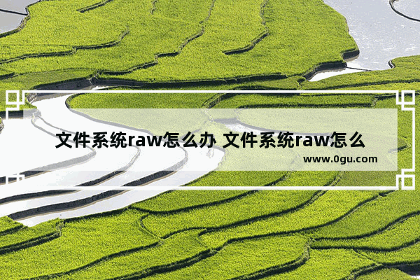 文件系统raw怎么办 文件系统raw怎么办才能打开