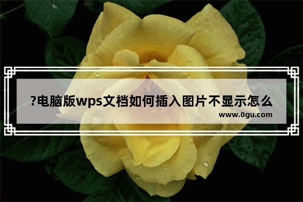 ?电脑版wps文档如何插入图片不显示怎么办