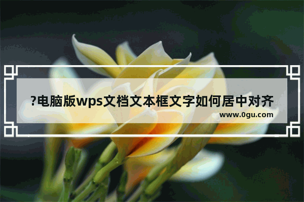 ?电脑版wps文档文本框文字如何居中对齐