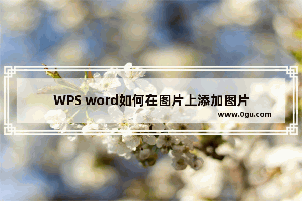 WPS word如何在图片上添加图片