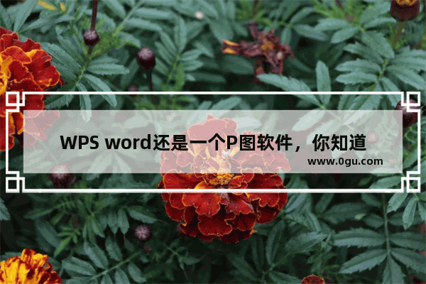 WPS word还是一个P图软件，你知道么？