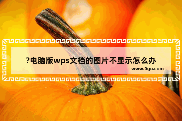 ?电脑版wps文档的图片不显示怎么办