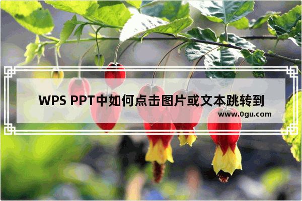 WPS PPT中如何点击图片或文本跳转到网页