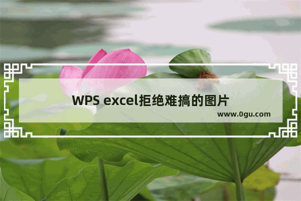 WPS excel拒绝难搞的图片