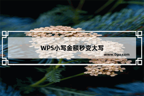 WPS小写金额秒变大写