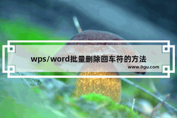 wps/word批量删除回车符的方法