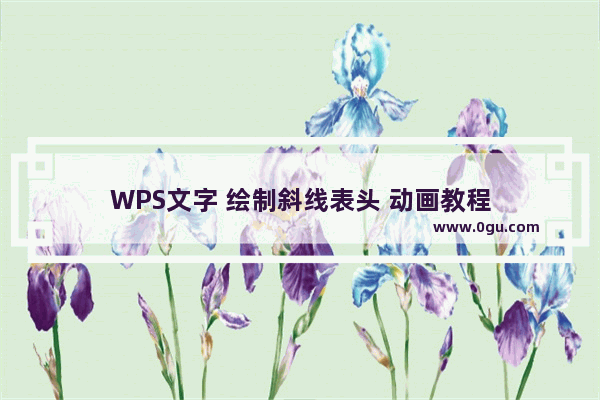 WPS文字 绘制斜线表头 动画教程