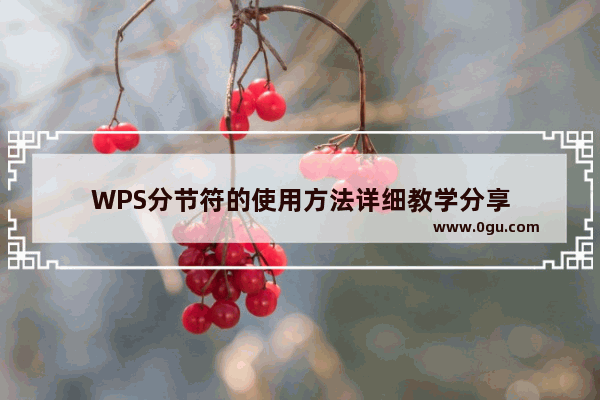 WPS分节符的使用方法详细教学分享