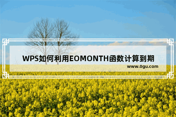 WPS如何利用EOMONTH函数计算到期日