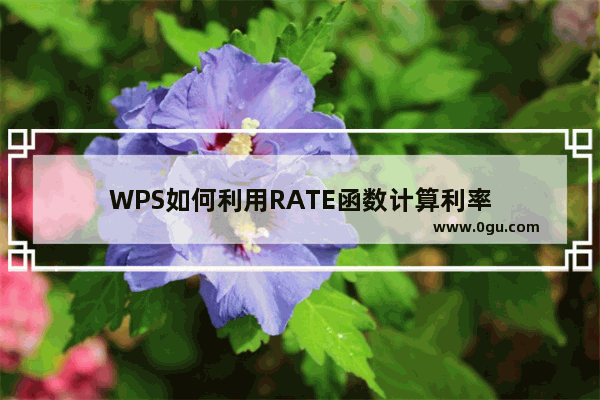 WPS如何利用RATE函数计算利率