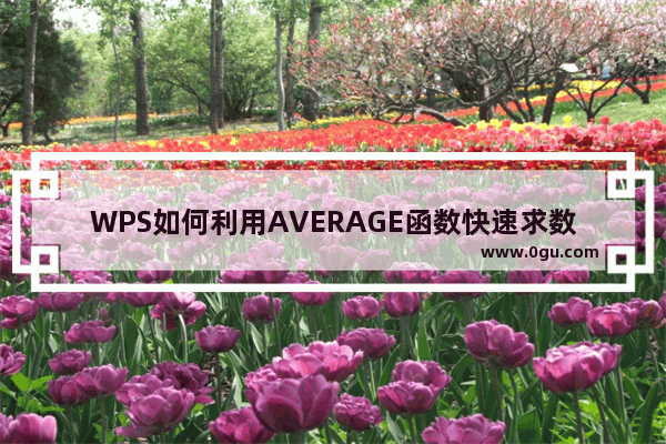 WPS如何利用AVERAGE函数快速求数据平均值