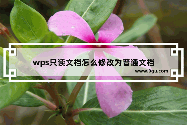 wps只读文档怎么修改为普通文档