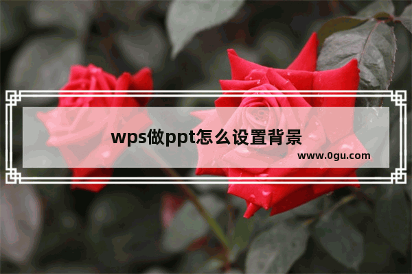 wps做ppt怎么设置背景