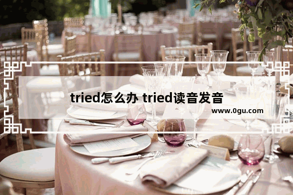 tried怎么办 tried读音发音