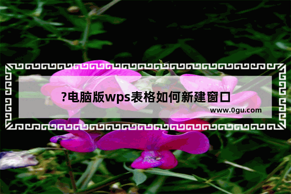 ?电脑版wps表格如何新建窗口