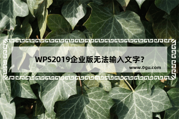 WPS2019企业版无法输入文字？