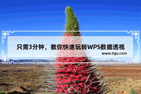 只需3分钟，教你快速玩转WPS数据透视