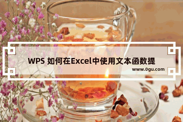 WPS 如何在Excel中使用文本函数提取人员信息