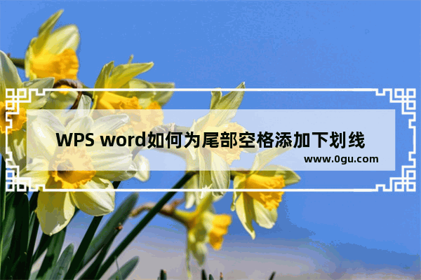 WPS word如何为尾部空格添加下划线的方法