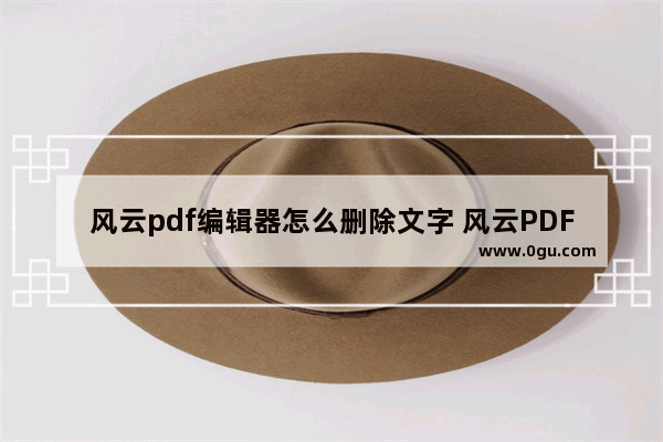 风云pdf编辑器怎么删除文字 风云PDF编辑器删除PDF文件中的文字的方法