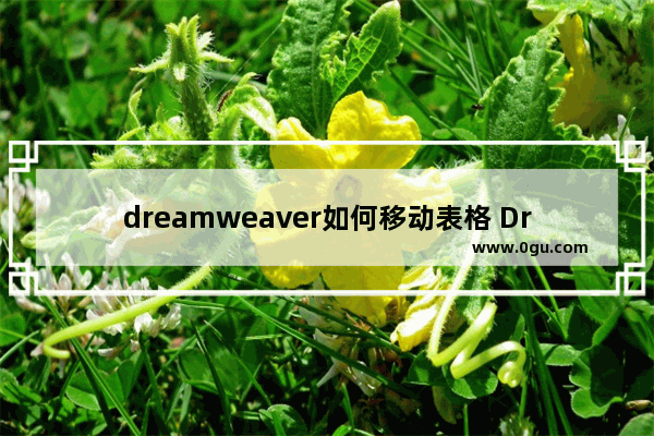 dreamweaver如何移动表格 Dreamweaver移动表格的方法