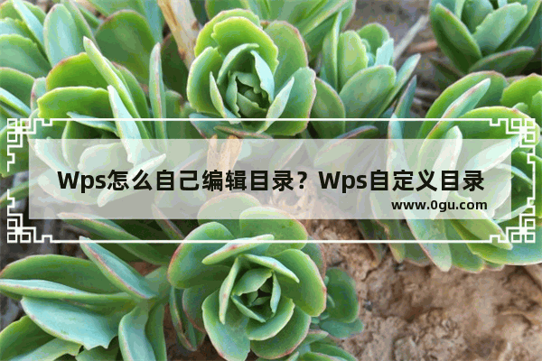 Wps怎么自己编辑目录？Wps自定义目录的方法