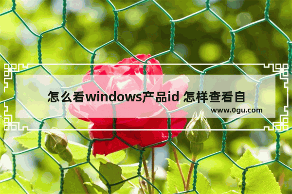 怎么看windows产品id 怎样查看自己windows的产品密匙