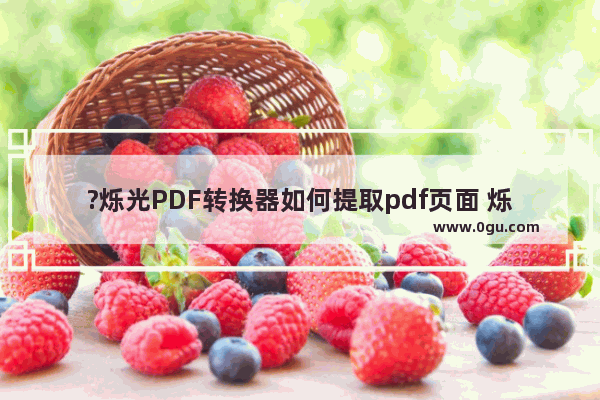 ?烁光PDF转换器如何提取pdf页面 烁光PDF转换器提取pdf页面的方法