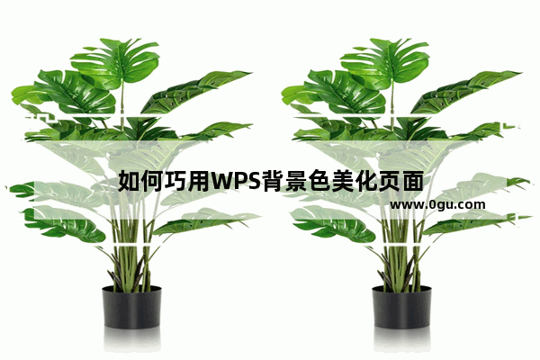 如何巧用WPS背景色美化页面