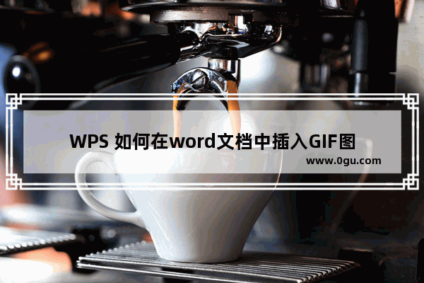 WPS 如何在word文档中插入GIF图的方法