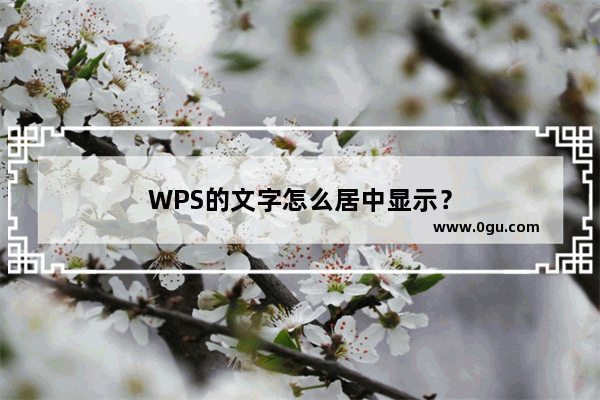 WPS的文字怎么居中显示？